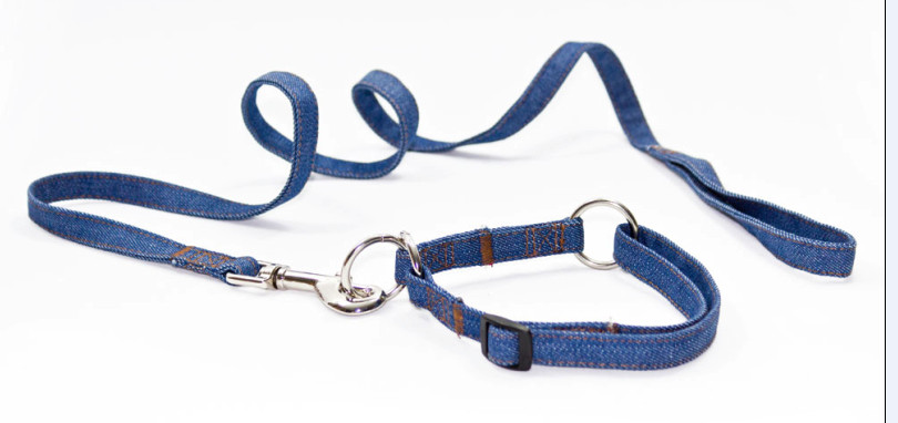 Denim collar and leash